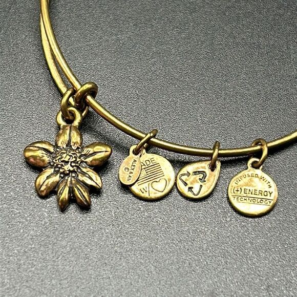Alex and Ani Apple Blossom Sacred Garden Rafaelian Gold Bangle Bracelet - Picture 2 of 4